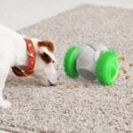 Smart Pet Feeder Toy Car – IQ Training & Fun Balance Car - Image 5