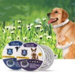 Anti-Mosquito & Flea Collar for Cats and Dogs - Image 6