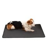 Reusable Waterproof Pet Diaper Pad – Washable Training Mat for Dogs, Cats & Small Pets - Image 3