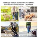 Waist Bag Hands-Free Dog Training Leash – Outdoor Pet Walking Pouch with Food & Water Cup Storage - Image 2
