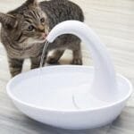 Automatic Swan Pet Water Fountain – Silent 2.36L Cat Water Dispenser with USB Power