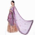 Sari Scarf Mesh Embroidery Georgette - Image 10