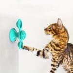 Interactive Windmill Cat Toy with Suction Cup – Rotating Spinner with Catnip, Jagged Ball, Toothbrush & Massager - Image 6