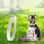 Anti-Mosquito & Flea Collar for Cats and Dogs - Image 3
