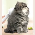 Pet Hair Remover Brush with Mist Spray – Dematting Grooming Tool for Dogs & Cats - Image 6