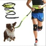 Hands Free Dog Leash | Running & Training Belt with Phone Pocket