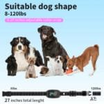 Anti-Bark Dog Collar with AI Technology – Rechargeable, Waterproof, LCD Display | Safe & Humane Training Collar - Image 5