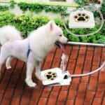 Dog Water Fountain with Paw Pad - Image 2