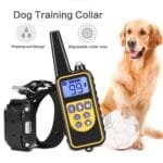 800m Electric Dog Training Collar Anti-Barking Device – Waterproof Remote Control