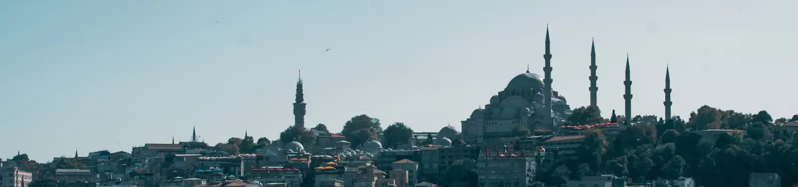 Turkey Banner 77548540