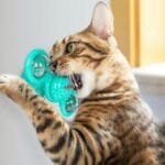 Interactive Windmill Cat Toy with Suction Cup – Rotating Spinner with Catnip, Jagged Ball, Toothbrush & Massager - Image 4