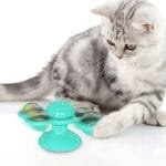 Interactive Windmill Cat Toy with Suction Cup – Rotating Spinner with Catnip, Jagged Ball, Toothbrush & Massager