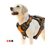 Premium Dog Harness Vest | No-Pull Reflective & Breathable