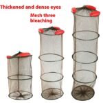 aae e b ace cac trans.jpeg