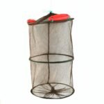 ff b ef c trans.jpeg