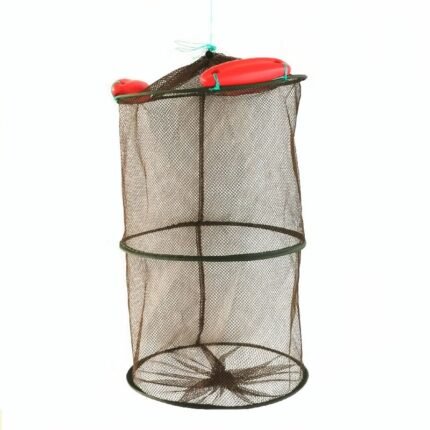 ff b ef c trans.jpeg