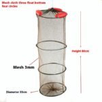 ecd e ad ddfea trans.jpeg