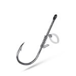 edbe aae bbd trans.jpeg